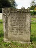 image of grave number 195249